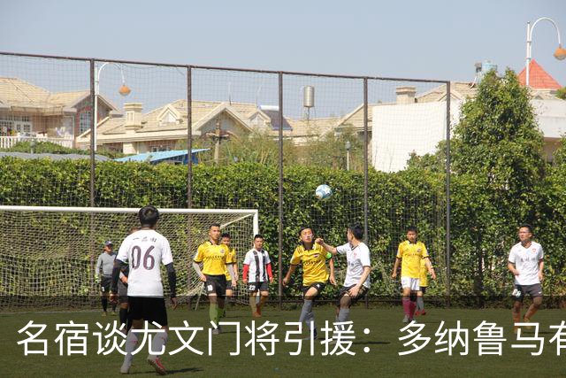 名宿谈尤文门将引援：多纳鲁马有短板 3C离开是“严重错误”